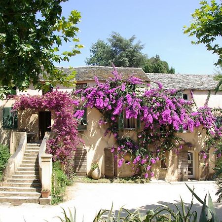 Domaine De Valle Sorbo-Ocagnano Εξωτερικό φωτογραφία