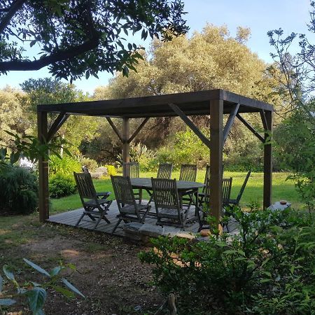 Domaine De Valle Sorbo-Ocagnano Εξωτερικό φωτογραφία