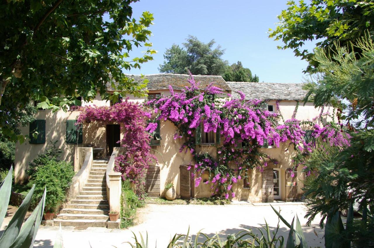 Domaine De Valle Sorbo-Ocagnano Εξωτερικό φωτογραφία